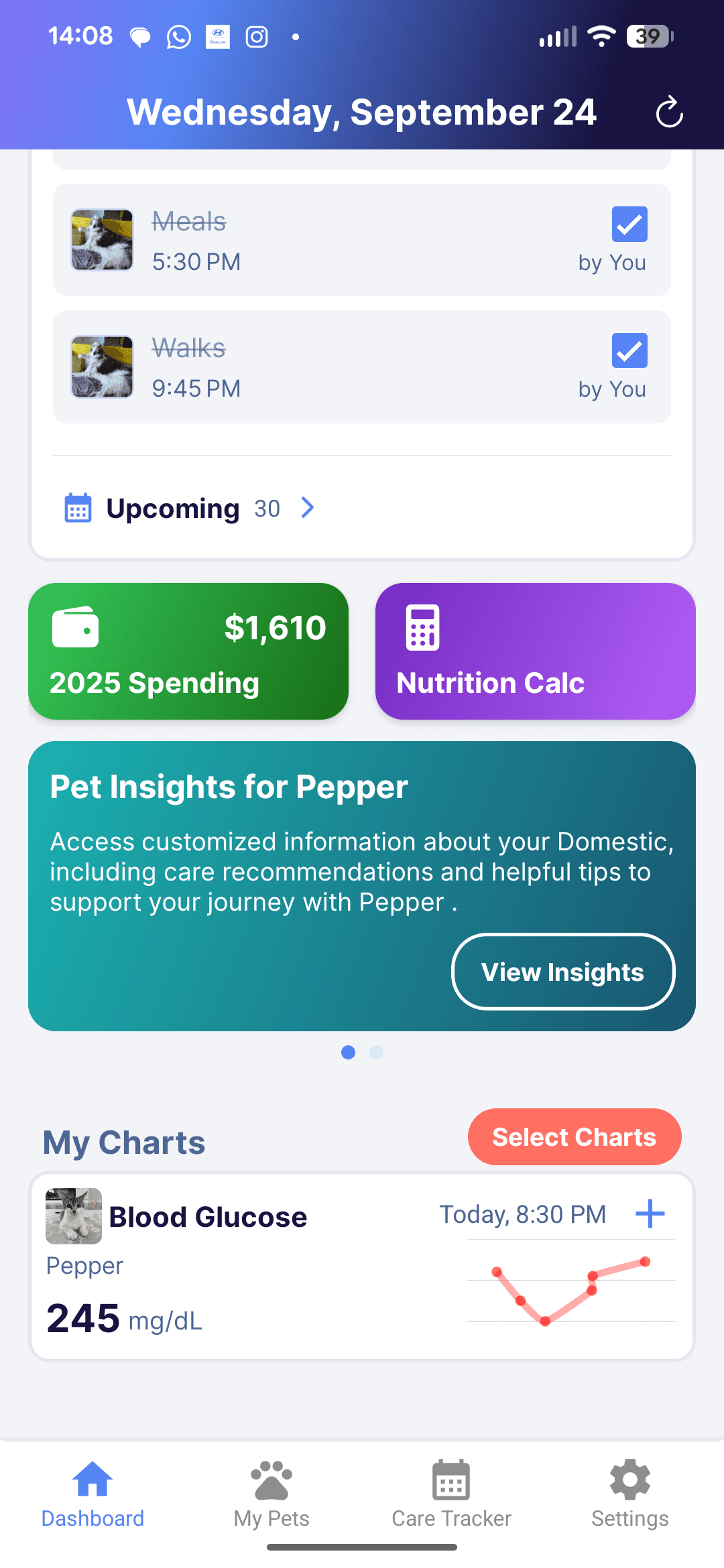 Tracking Expenses