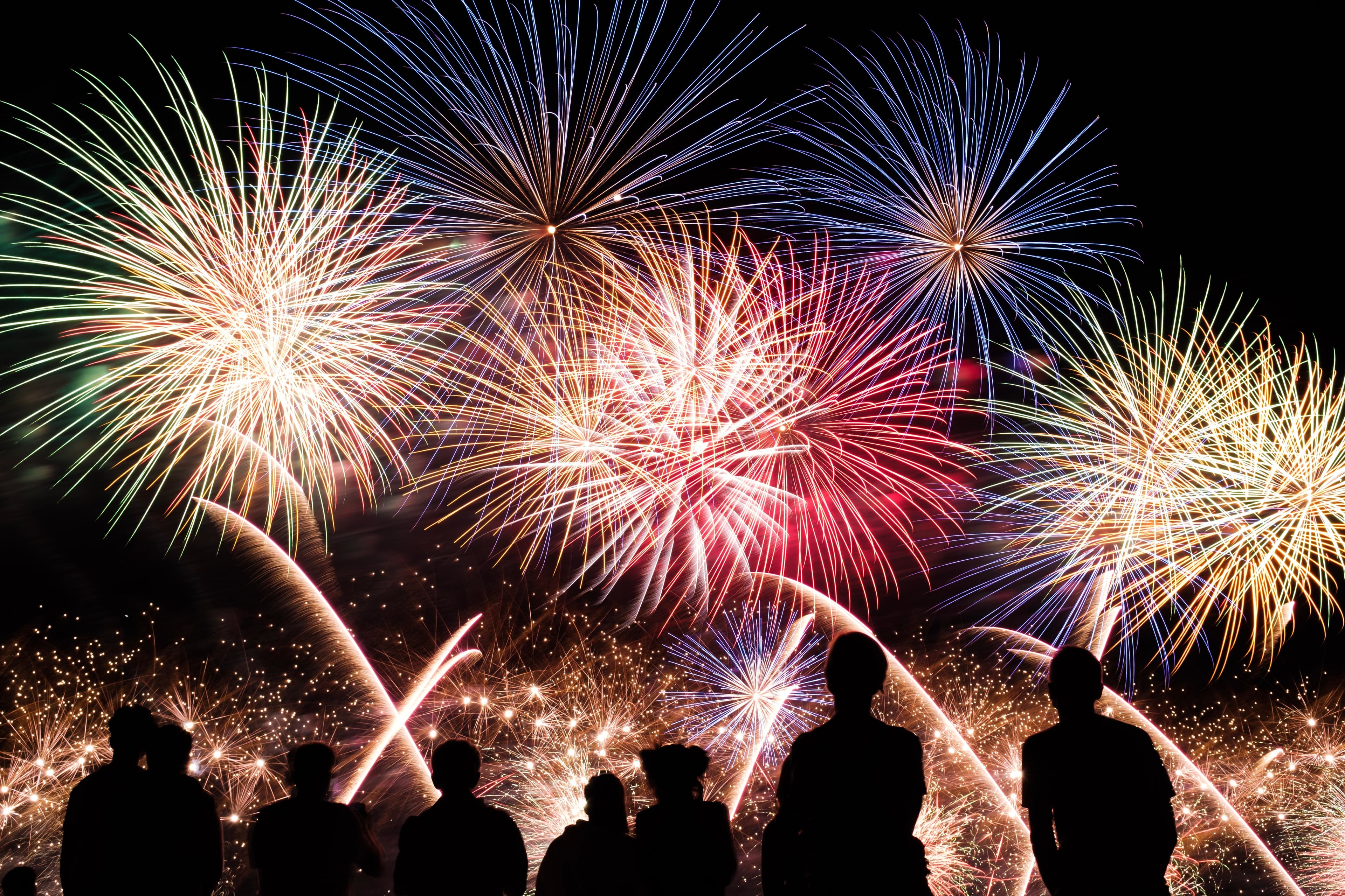Fireworks & Furry Friends: Keeping Your Pet Safe This 4th of July